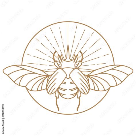 Egyptian Scarab Drawing