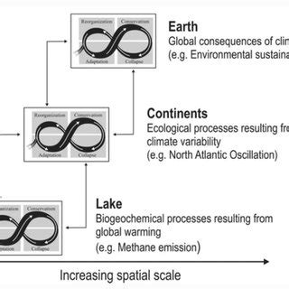 Bronfenbrenner's Bioecological Model of Human Development, adapted from... | Download Scientific ...