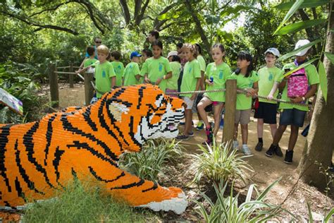 Register your animal lover kids for summer camp at the Houston Zoo ...