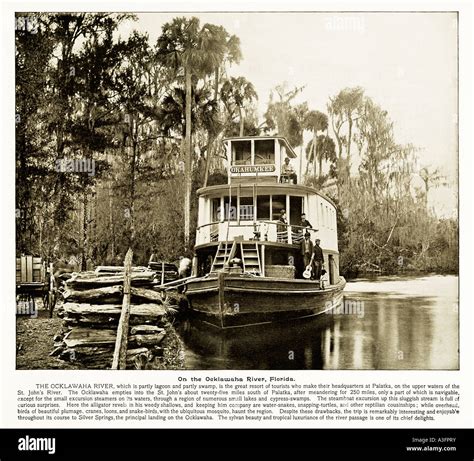 On The Ocklawaha River Florida 1890s photo of the Okahumkee built 1873 ...