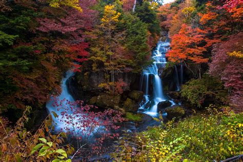 radikal råolie ryste japan nature Armstrong Forøge Emuler