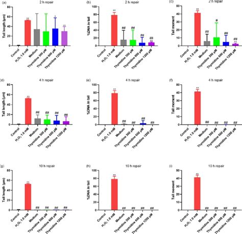 Image analysis of the comet assay. Cells were allowed to repair in ...