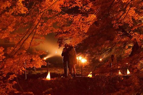 Fuji Kawaguchiko Autumn Leaves Festival 2018 – Japan Travel Guide -JW Web Magazine