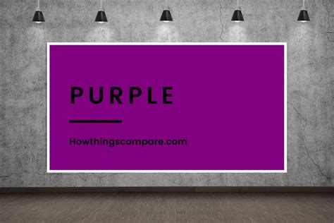 Purple vs Violet vs Lavender – Paint Colors Compared – howthingscompare.com