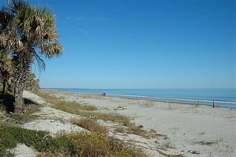 Edisto Beach State Park: Beach View | Edisto beach state park, Edisto beach, State parks