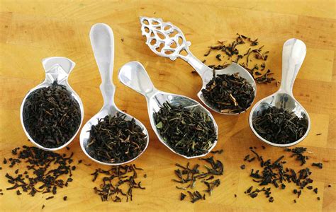 Different Types of Tea in Bubble Tea – Experiences