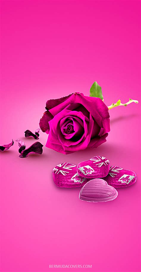 Pink Rose & Bermuda Heart-Shaped Chocolates Facebook Cover & Phone ...