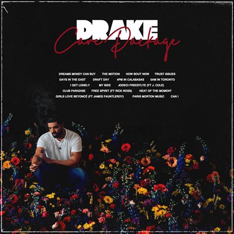 Drake - Care Package : r/fakealbumcovers