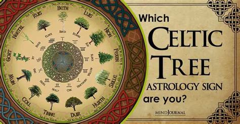 Which Celtic Tree Zodiac Sign Are You And What It Says About You | Celtic tree astrology, Celtic ...