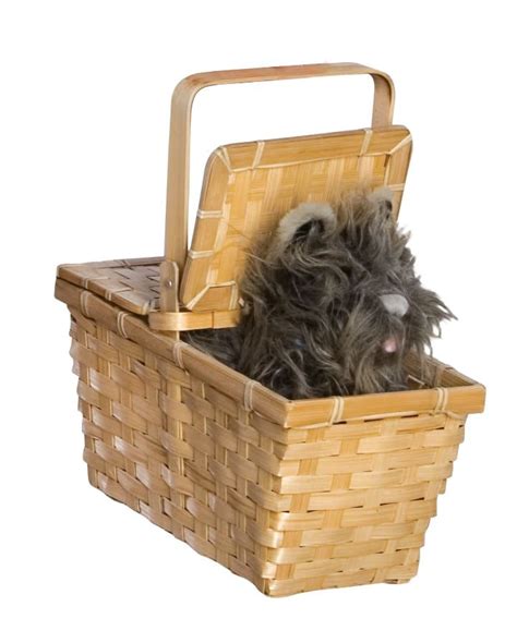 The Wizard of Oz Toto In Basket Deluxe - PartyBell.com