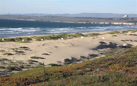 Surf Beach at Vandenberg AFB in Lompoc, CA - California Beaches