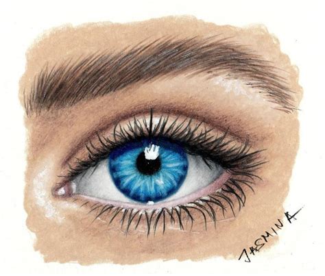 pencil-drawing-of-a-blue-female-eye-with-long-lashes-how-to-draw-eyes ...