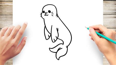 How to Draw Cute Sea Lion Easy - YouTube