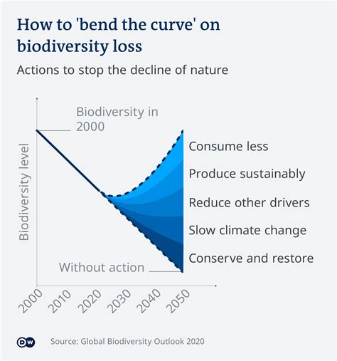 How To Prevent Loss Of Biodiversity - Internaljapan9