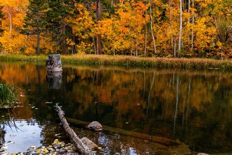 Seeking Out the Beauty of Mammoth Lakes Fall Colors - No Back Home