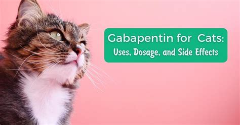 28 Best Images Gabapentin For Cats Dosage Chart Liquid - Gabapentin Wikipedia | blackh0le1412