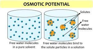 Difference Between Osmotic Pressure and Osmotic Potential (with ...