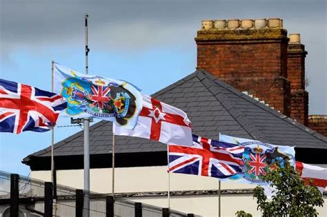 Belfast gets brightly coloured bins to encourage recycling - Belfast Live