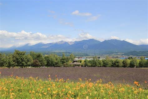 Hokkaido nature 01 stock image. Image of farm, hokkaido01 - 169650197