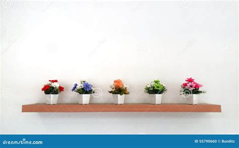 Flower shelf stock photo. Image of flower, wall, color - 55790660