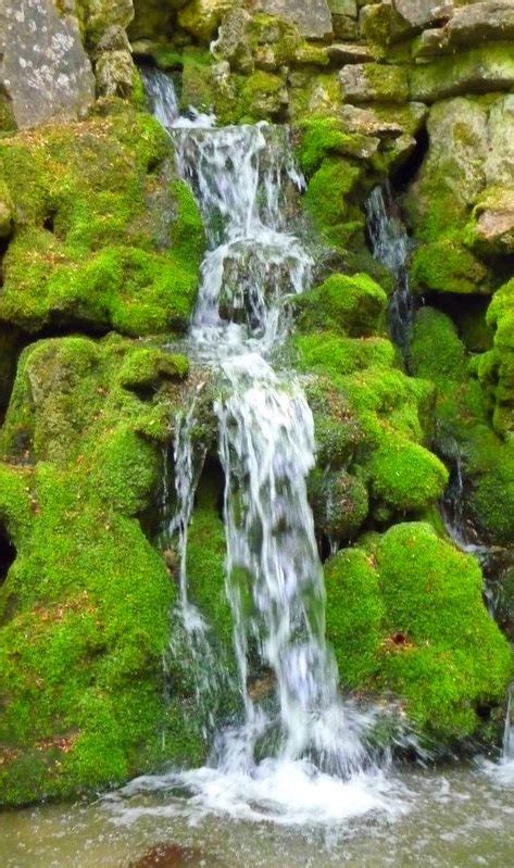 If your pond's in shade this mossy waterfall is totally possible! | Waterfall, Beautiful ...