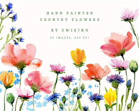 Hand painted country flowers | Illustrations ~ Creative Market