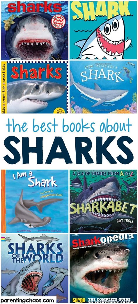 The Best Shark Books for Kids | Shark books, Ocean books, Ocean theme ...