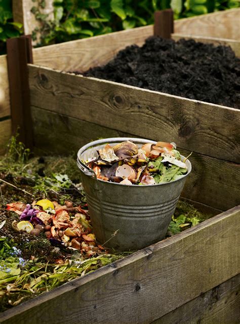 Composting: how to do it at home | House & Garden