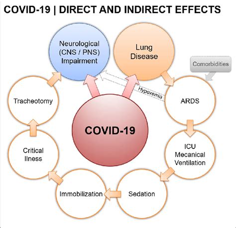 | Covid-19 direct and indirect effects. | Download Scientific Diagram