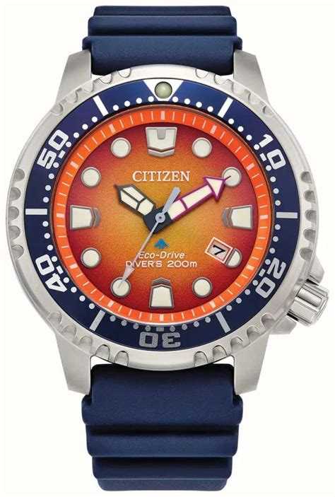 Citizen Promaster Diver BN0168-06L | lupon.gov.ph