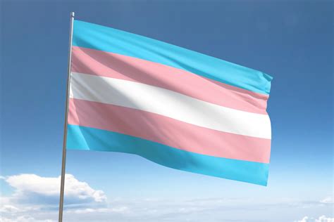 Transgender Pride Flag History