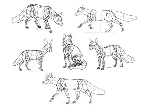 How to Draw Foxes of All Shapes and Sizes | Fox drawing, Animal drawings, Drawings