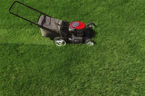 How to Take Care of Your Lawn Year-Round - BigFoot Turf