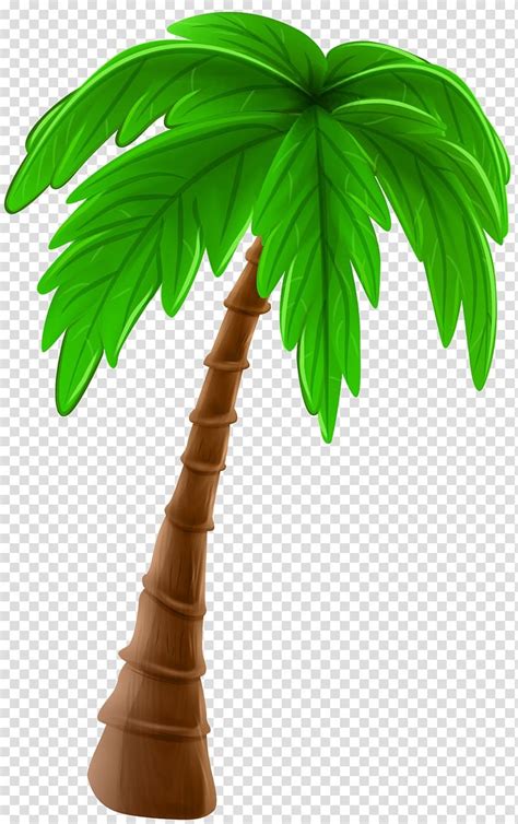 coconut tree illustration, Arecaceae Cartoon Tree , Palm Tree Cartoon ...