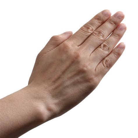 Hands , Hand Image Picture PNG Transparent Background, Free Download ...