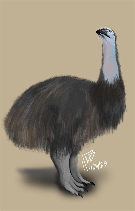 Male Titan Elephant Bird (Vorombe titan). I think this might be my fav bird ever now! : r/Paleoart