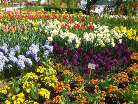 Mainau, Germany’s Flower Island in Lake Constance - German Culture