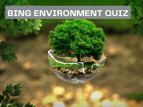 Bing Environment Quiz - Test Your Knowledge on Bing Quiz