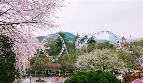 The 30 Best Things To Do in Daegu - IVisitKorea