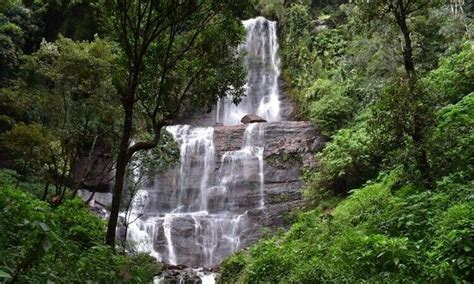 Jhari Falls Chikmagalur - September 2021 (Entry Fee, Timings, Entry ...