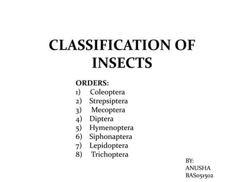 Insect Order Classification Chart