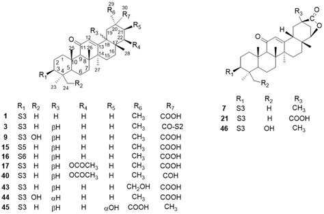 Triterpene saponins in G. inflata. | Download Scientific Diagram