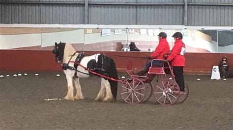 Carriage Driving - a Charities crowdfunding project in Scottish Highlands by Carriage Driving ...