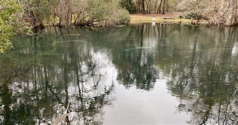 Manatee Springs State Park | Chiefland, FL