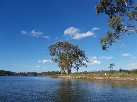 Bega River - The Kayak Krew - Fishraider