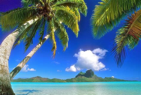 Hawaiian Background Images