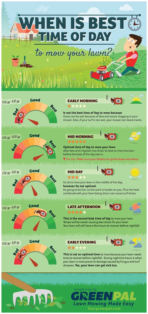 Is Your Mowing Schedule Hurting Your Lawn? (Infographic) | GreenPal