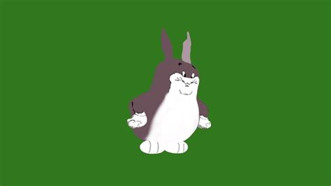 Big-chungus 3D models - Sketchfab