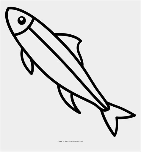 fish bowl clipart black and white, Cartoons - Sardine Coloring Page - Easy Sardine Drawing ...