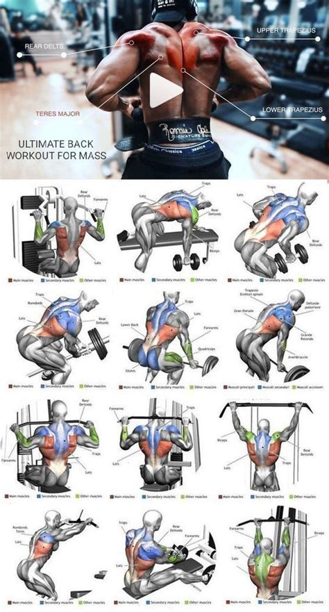 Ultimate Back Workout For Mass Muscle Growth | Workout, Shoulder workout, Workout plan